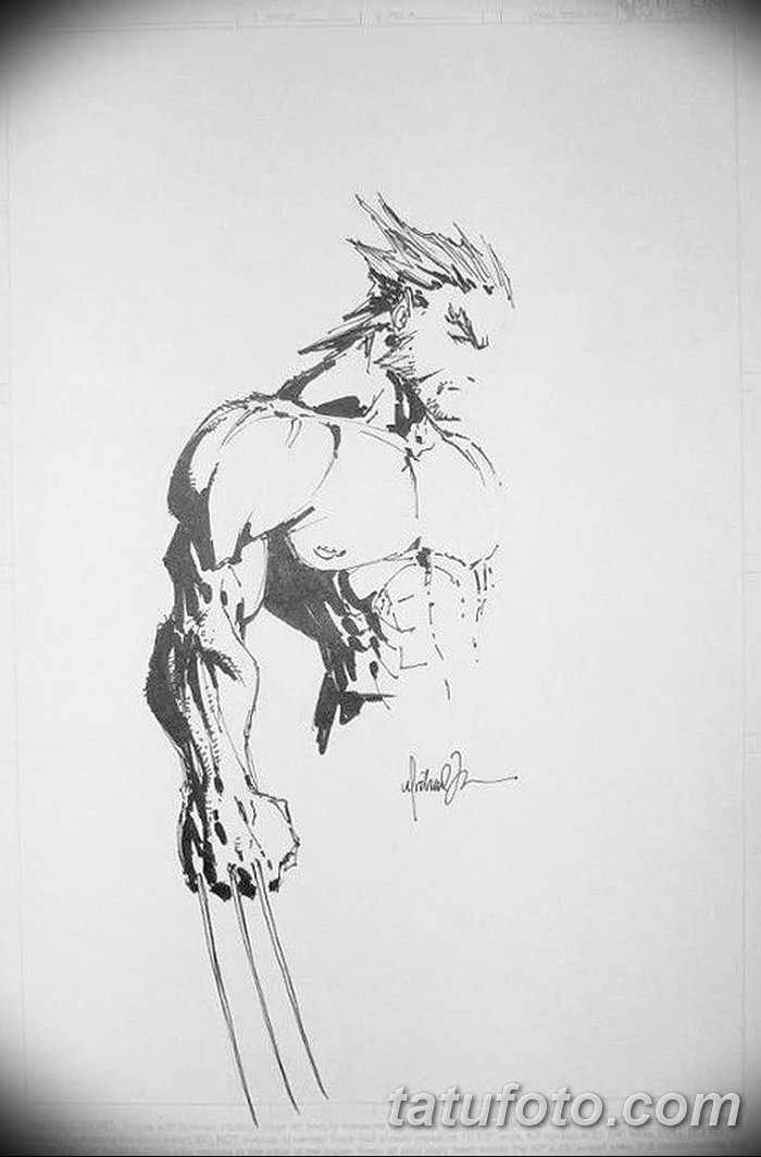 Эскиз 97 глава. Росомаха Wolverine Michael Turner. Росомаха тату эскиз. Wolverine эскизы тату. Росомаха акварель эскиз.