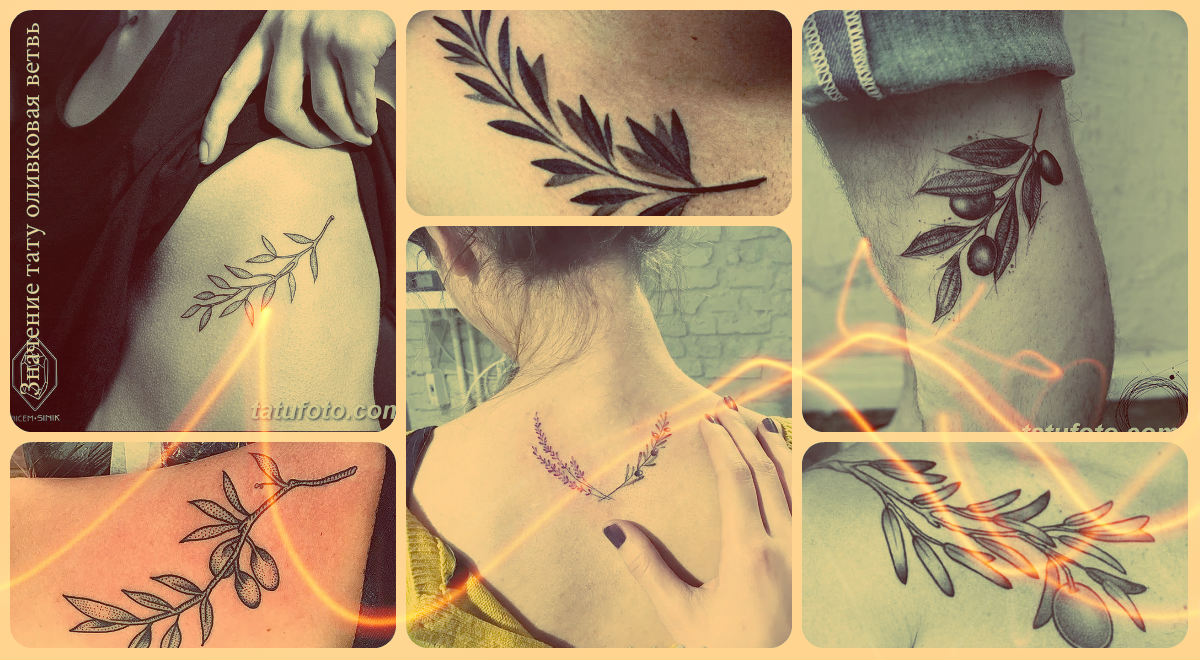 Значение тату оливковая ветвь - фото примеры интересных рисунков