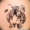 фото Мехенди тигр от 10.11.2017 №004 - Mehendi Tiger - tatufoto.com