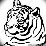 фото Мехенди тигр от 10.11.2017 №007 - Mehendi Tiger - tatufoto.com