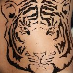 фото Мехенди тигр от 10.11.2017 №024 - Mehendi Tiger - tatufoto.com
