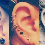 фото Пирсинг уха от 20.11.2017 №052 - Ear piercing - tatufoto.com