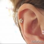 фото Пирсинг уха от 20.11.2017 №057 - Ear piercing - tatufoto.com