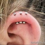 фото Пирсинг уха от 20.11.2017 №060 - Ear piercing - tatufoto.com