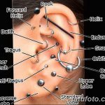 фото Пирсинг уха от 20.11.2017 №080 - Ear piercing - tatufoto.com