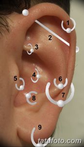 Фото схемы пирсинга уха с обозначением различных видов проколов: Helix, Forward Helix, Daith, Tragus и других. Полезно для тех, кто планирует пирсинг.