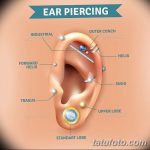 фото Пирсинг уха от 20.11.2017 №115 - Ear piercing - tatufoto.com