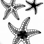 фото Эскизы тату морская звезда от 31.10.2017 №001 - Sketches of a starfish tattoo