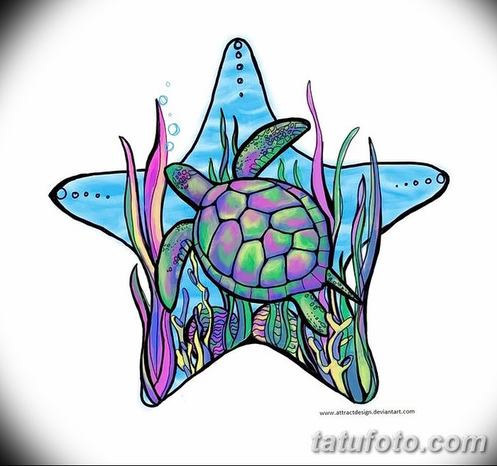 фото Эскизы тату морская звезда от 31.10.2017 №002 - Sketches of a starfish tattoo