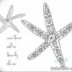 фото Эскизы тату морская звезда от 31.10.2017 №003 - Sketches of a starfish tattoo
