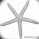 фото Эскизы тату морская звезда от 31.10.2017 №007 - Sketches of a starfish tattoo