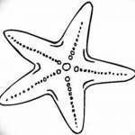 фото Эскизы тату морская звезда от 31.10.2017 №009 - Sketches of a starfish tattoo