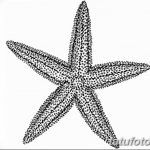 фото Эскизы тату морская звезда от 31.10.2017 №012 - Sketches of a starfish tattoo
