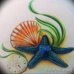 фото Эскизы тату морская звезда от 31.10.2017 №014 - Sketches of a starfish tattoo