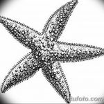 фото Эскизы тату морская звезда от 31.10.2017 №015 - Sketches of a starfish tattoo