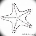 фото Эскизы тату морская звезда от 31.10.2017 №017 - Sketches of a starfish tattoo