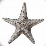 фото Эскизы тату морская звезда от 31.10.2017 №020 - Sketches of a starfish tattoo