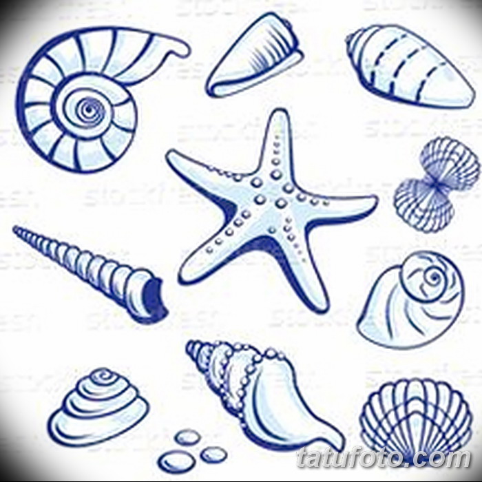 фото Эскизы тату морская звезда от 31.10.2017 №022 - Sketches of a starfish tattoo