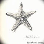 фото Эскизы тату морская звезда от 31.10.2017 №023 - Sketches of a starfish tattoo