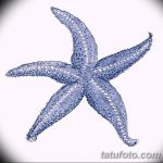фото Эскизы тату морская звезда от 31.10.2017 №024 - Sketches of a starfish tattoo