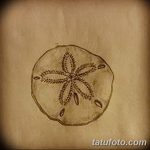 фото Эскизы тату морская звезда от 31.10.2017 №025 - Sketches of a starfish tattoo