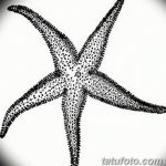 фото Эскизы тату морская звезда от 31.10.2017 №026 - Sketches of a starfish tattoo