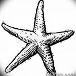 фото Эскизы тату морская звезда от 31.10.2017 №027 - Sketches of a starfish tattoo
