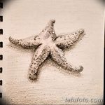 фото Эскизы тату морская звезда от 31.10.2017 №032 - Sketches of a starfish tattoo