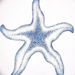 фото Эскизы тату морская звезда от 31.10.2017 №035 - Sketches of a starfish tattoo