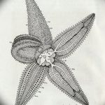 фото Эскизы тату морская звезда от 31.10.2017 №037 - Sketches of a starfish tattoo