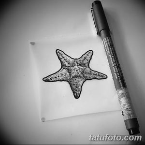 Фото тату с изображением морской звезды, выполненной в технике dotwork (точечной графики) черными точками. Детализированный и минималистичный рисунок.