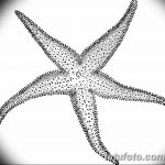 фото Эскизы тату морская звезда от 31.10.2017 №043 - Sketches of a starfish tattoo