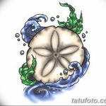 фото Эскизы тату морская звезда от 31.10.2017 №057 - Sketches of a starfish tattoo