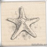 фото Эскизы тату морская звезда от 31.10.2017 №058 - Sketches of a starfish tattoo