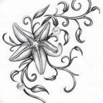фото Эскизы тату морская звезда от 31.10.2017 №059 - Sketches of a starfish tattoo