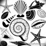 фото Эскизы тату морская звезда от 31.10.2017 №060 - Sketches of a starfish tattoo