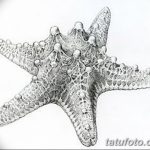 фото Эскизы тату морская звезда от 31.10.2017 №061 - Sketches of a starfish tattoo
