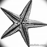 фото Эскизы тату морская звезда от 31.10.2017 №063 - Sketches of a starfish tattoo