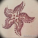 фото Эскизы тату морская звезда от 31.10.2017 №064 - Sketches of a starfish tattoo