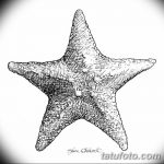 фото Эскизы тату морская звезда от 31.10.2017 №065 - Sketches of a starfish tattoo