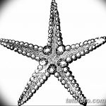 фото Эскизы тату морская звезда от 31.10.2017 №066 - Sketches of a starfish tattoo