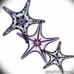 фото Эскизы тату морская звезда от 31.10.2017 №068 - Sketches of a starfish tattoo