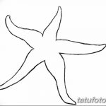 фото Эскизы тату морская звезда от 31.10.2017 №069 - Sketches of a starfish tattoo