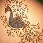 фото рисунок птица хной от 10.11.2017 №033 - drawing a henna bird - tatufoto.com