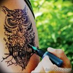фото рисунок птица хной от 10.11.2017 №044 - drawing a henna bird - tatufoto.com