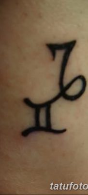фото тату Близнецы от 28.11.2017 №056 — Tattoo Gemini — tatufoto.com