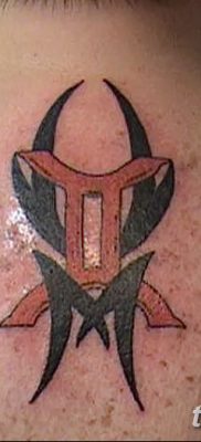 фото тату Близнецы от 28.11.2017 №080 — Tattoo Gemini — tatufoto.com