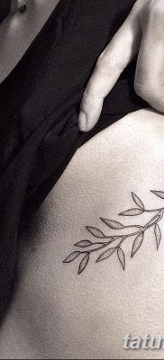 фото тату оливковая ветвь от 13.11.2017 №003 — olive branch tattoo — tatufoto.com