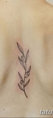 фото тату оливковая ветвь от 13.11.2017 №005 — olive branch tattoo — tatufoto.com