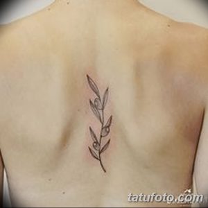 Фото тату: Изящная татуировка оливковой ветви, расположенная вдоль позвоночника на спине. Тонкие линии и аккуратная проработка деталей.